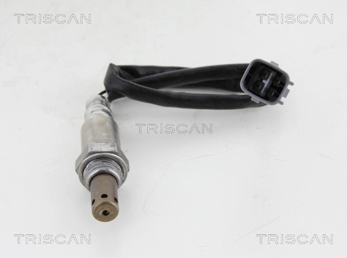 884513051 Triscan