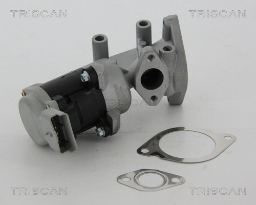 Válvula EGR para Land Rover Range Rover SPORT I L320