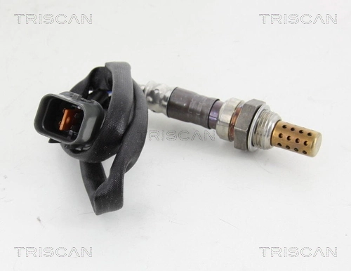 884542052 Triscan