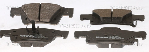 811080555 Triscan