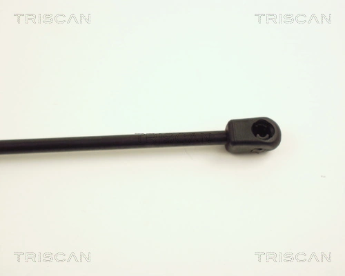Amortiguador de maletero Triscan 871024201 precio, desde 12,80 EUR