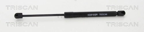 Comprar Amortiguador maletero Volkswagen Passat B7 362