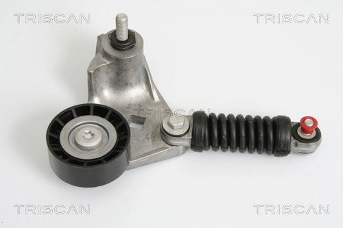 8641163008 Triscan