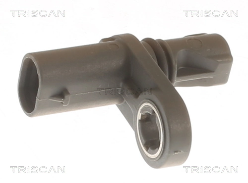 818010226 Triscan