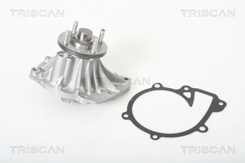 860013031 Triscan