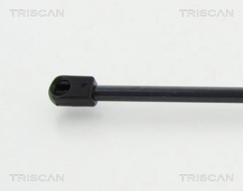 871070201 Triscan
