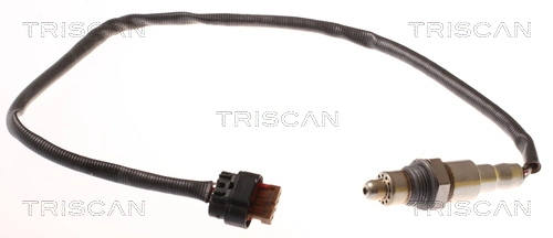 884516066 Triscan