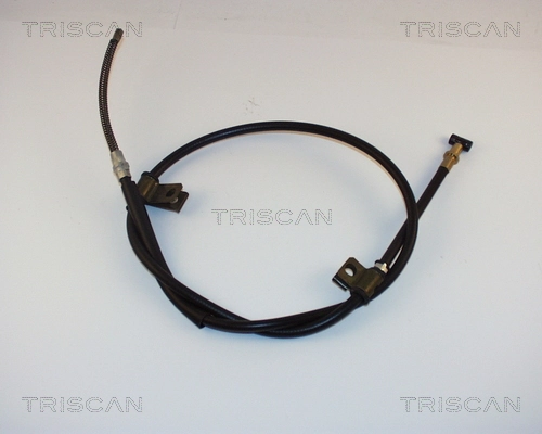 814069108 Triscan