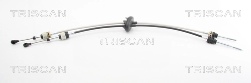 814023708 Triscan