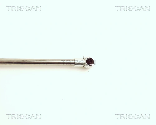 Amortiguador de maletero Triscan 871016216 precio, desde 11,96 EUR