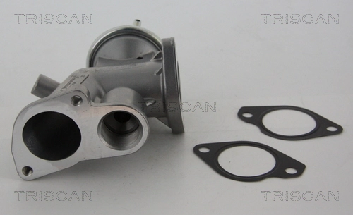EGR Magneti Marelli EV118
