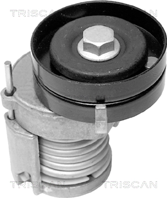 Comprar 534012320 Polcar Tensor de correa poli V 