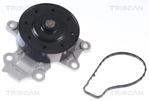 860013047 Triscan