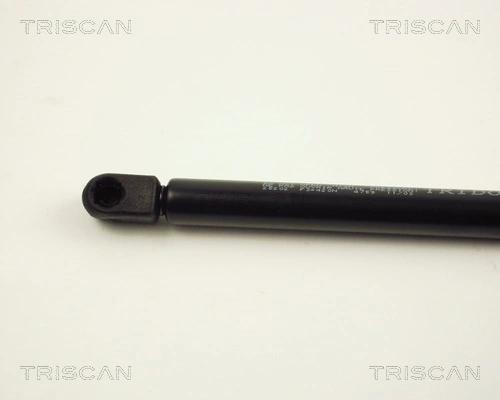 871025202 Triscan Amortiguador de porton
