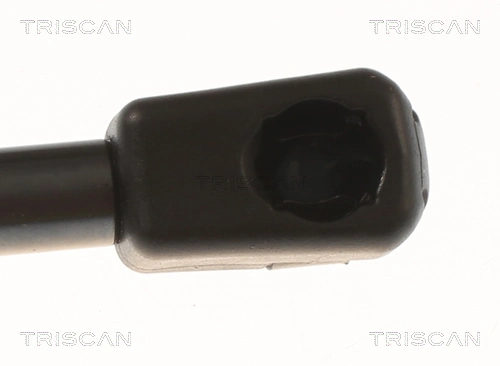 Comprar Amortiguador maletero Tesla Model 3  5YJ3