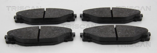 811013001 Triscan