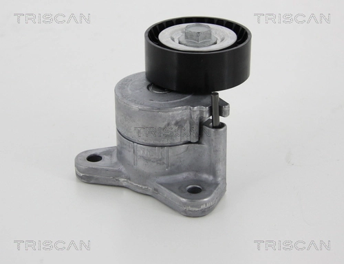 8641103042 Triscan