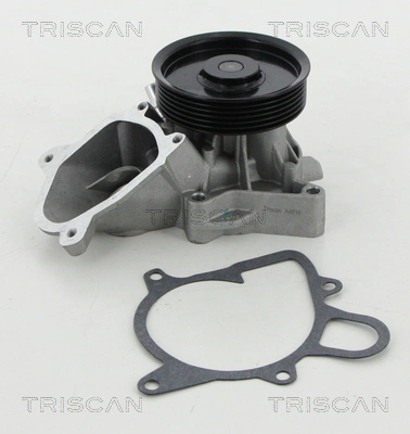 860011030 Triscan