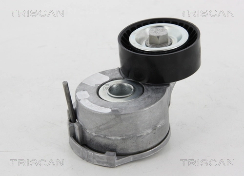 8641161014 Triscan