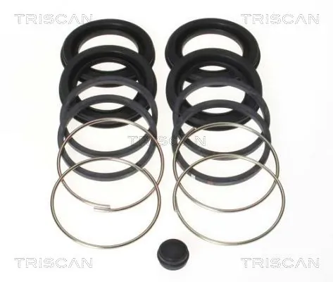 8170204313 Triscan