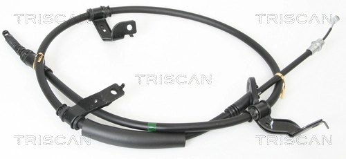 814043123 Triscan