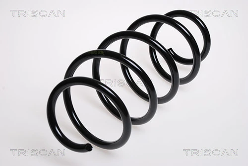 875029128 Triscan