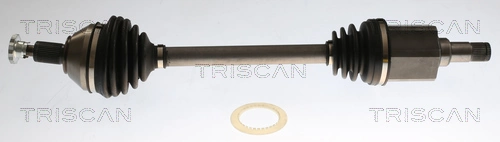 8540296067 Triscan