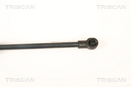 Amortiguador de maletero Triscan 871025249 precio, desde 12,42 EUR