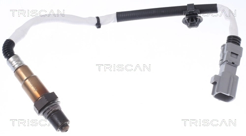 884513016 Triscan