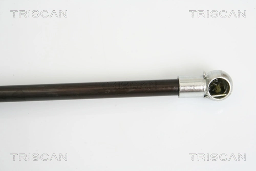 Amortiguador de maletero Triscan 871016248 precio, desde 17,59 EUR