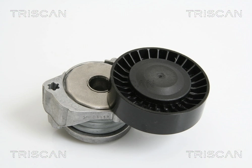 8641103026 Triscan