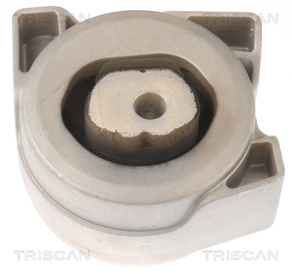 850523103 Triscan