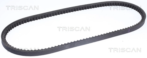 8640130875 Triscan