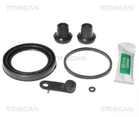 8170205473 Triscan