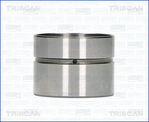 Taqués de motor para Seat Ibiza III 6L1