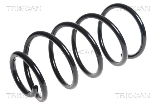 875027101 Triscan