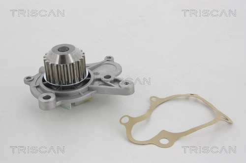 Comprar Bomba de agua Hyundai Santa Fe II CM