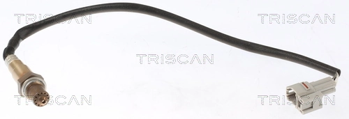 884569028 Triscan