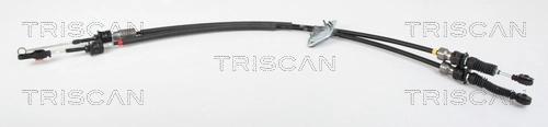 814050701 Triscan