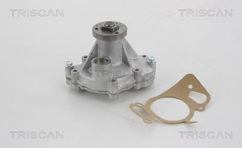 860017012 Triscan