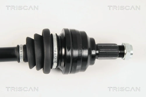 Palier trasero BMW 5 sedán (E39) (1995 - 2003) precio, desde 75,50 EUR