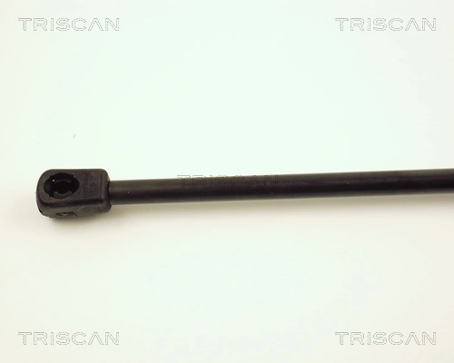 Amortiguador de maletero Triscan 871016222 precio, desde 20,27 EUR
