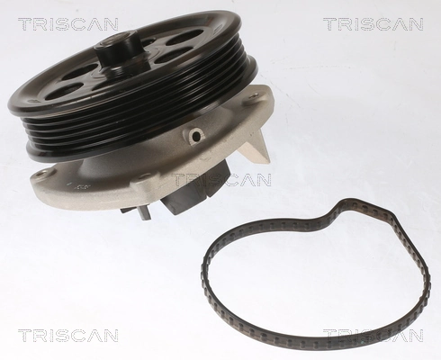 860010087 Triscan