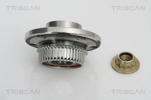 Comprar Cubo de rueda trasero Seat Inca  6K9