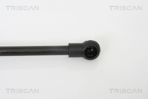 Muelle neumático, tapa delantera Triscan 871010100 precio, desde 16,40 EUR