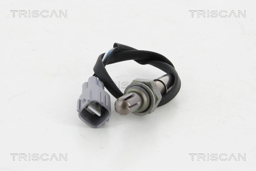 884513513 Triscan