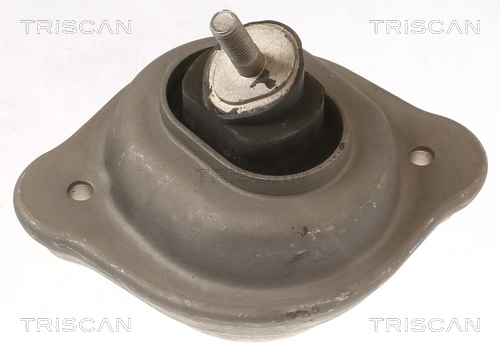 850511119 Triscan