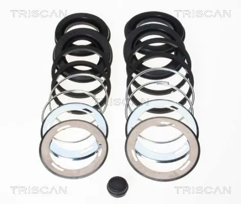 8170204213 Triscan