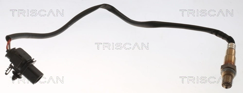 884529223 Triscan