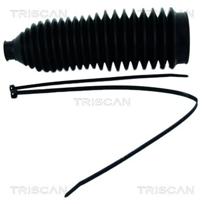 850029058 Triscan